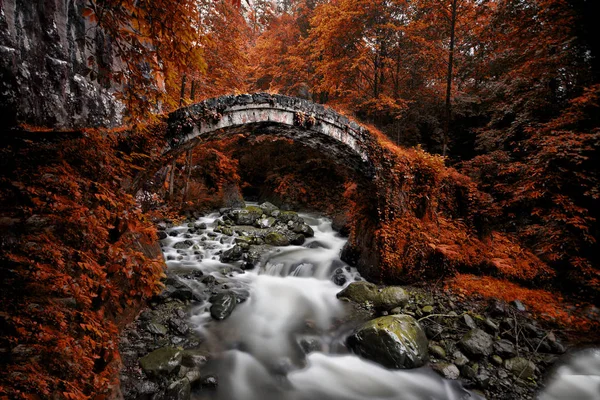 Karadeniz Bölgesi, Türkiye'de Kaçkar Dağlarının Plato