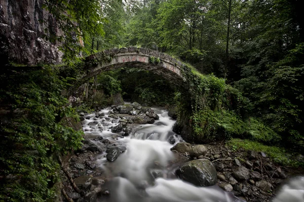 Karadeniz Bölgesi, Türkiye'de Kaçkar Dağlarının Plato