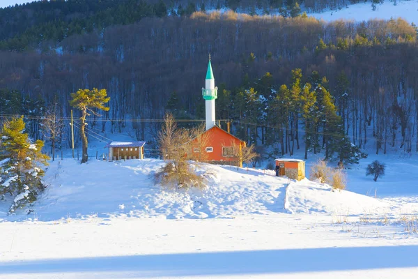 Lake house in Abant Lake wintertime. Abant, Bolu - Turkey