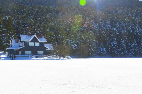 아반트 레이크 겨울의 레이크 하우스 아반트 — 스톡 사진