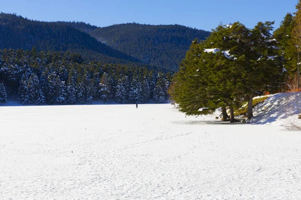 Casa Del Lago Invierno Abant Lake Abant Bolu Turquía —  Fotos de Stock