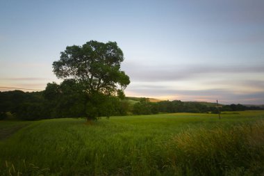 Işıklı Gölü'ndeki tekneler, Civril Denizli Türkiye