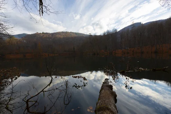 Höstlandskap Sju Sjöar Yedigoller Park Bolu Turkiet — Stockfoto