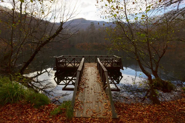 Herfstlandschap Zeven Meren Yedigoller Park Bolu Turkije — Stockfoto