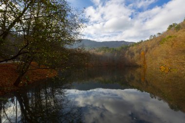 Yedigoller Park Bolu, Türkiye 'de sonbahar manzarası (yedi göl)