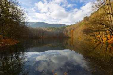 Yedigoller Park Bolu, Türkiye 'de sonbahar manzarası (yedi göl)