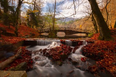Yedigoller Park Bolu, Türkiye 'de sonbahar manzarası (yedi göl)