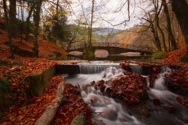 Yedigoller Park Bolu, Türkiye 'de sonbahar manzarası (yedi göl)