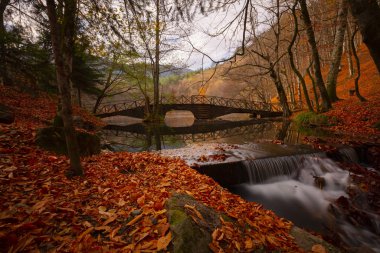 Yedigoller Park Bolu, Türkiye 'de sonbahar manzarası (yedi göl)
