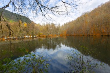 Yedigoller Park Bolu, Türkiye 'de sonbahar manzarası (yedi göl)