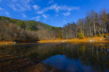 Yedigoller Park Bolu, Türkiye 'de sonbahar manzarası (yedi göl)