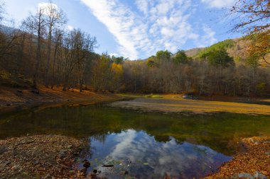 Yedigoller Park Bolu, Türkiye 'de sonbahar manzarası (yedi göl)
