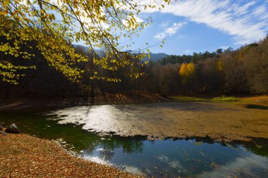 Yedigoller Park Bolu, Türkiye 'de sonbahar manzarası (yedi göl)