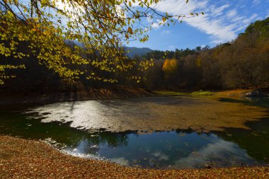 Yedigoller Park Bolu, Türkiye 'de sonbahar manzarası (yedi göl)