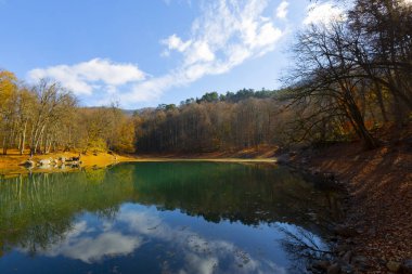 Yedigoller Park Bolu, Türkiye 'de sonbahar manzarası (yedi göl)