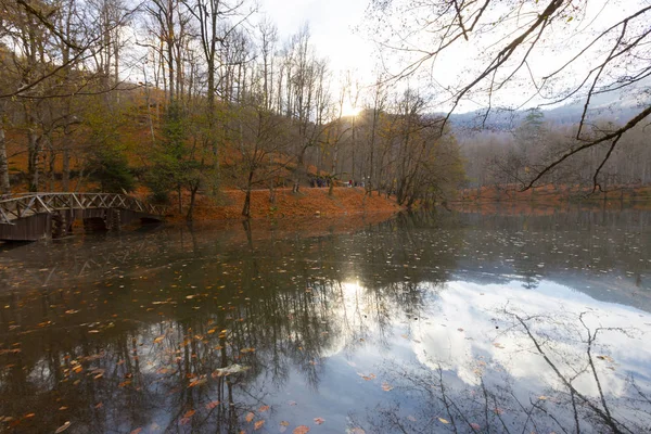 Höstlandskap Sju Sjöar Yedigoller Park Bolu Turkiet — Stockfoto