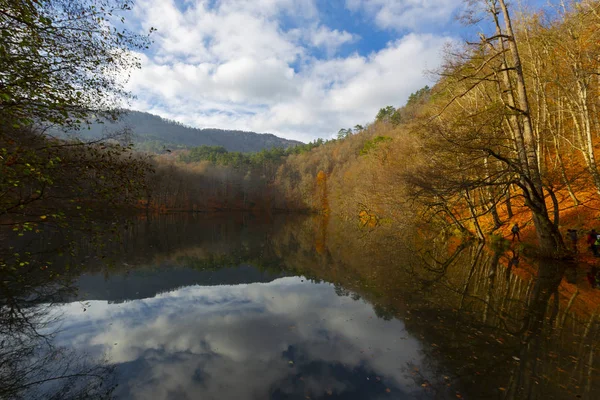 Őszi Táj Hét Yedigoller Park Bolu Törökország — Stock Fotó