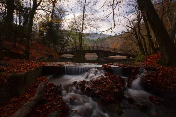 Φθινοπωρινό Τοπίο Επτά Λίμνες Yedigoller Park Bolu Τουρκία — Φωτογραφία Αρχείου