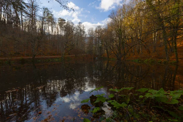 Herbstlandschaft Sieben Seen Yedigoller Park Bolu Türkei — Stockfoto