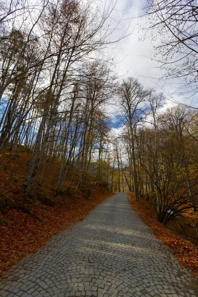 Jesienny Krajobraz Siedem Jezior Yedigoller Park Bolu Turcja — Zdjęcie stockowe