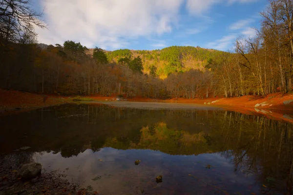 Höstlandskap Sju Sjöar Yedigoller Park Bolu Turkiet — Stockfoto