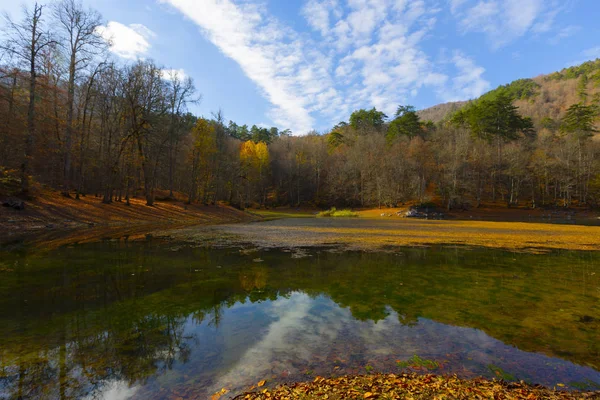 Yedigoller Park Bolu, Türkiye 'de sonbahar manzarası (yedi göl)