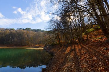Yedigoller Park Bolu, Türkiye 'de sonbahar manzarası (yedi göl)