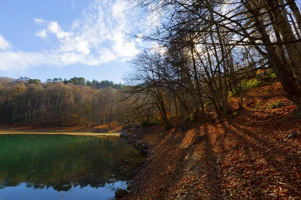 Yedigoller Park Bolu, Türkiye 'de sonbahar manzarası (yedi göl)