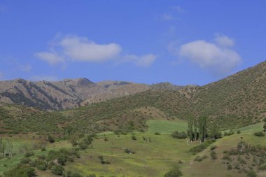 Volkanik dağ Erciyes ve Kayseri tarım arazileri panaromik - Kayseri Türkiye
