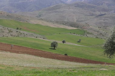 Volkanik dağ Erciyes ve Kayseri tarım arazileri panaromik - Kayseri Türkiye