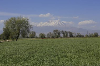 Volkanik dağ Erciyes ve Kayseri tarım arazileri panaromik - Kayseri Türkiye