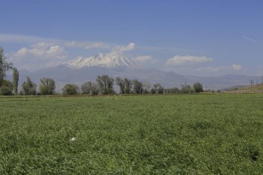 Volkanik dağ Erciyes ve Kayseri tarım arazileri panaromik - Kayseri Türkiye