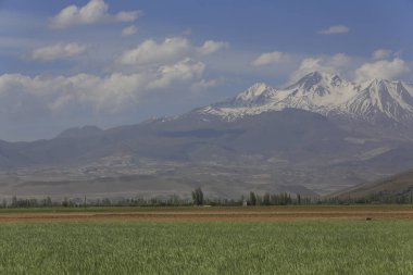 Volkanik dağ Erciyes ve Kayseri tarım arazileri panaromik - Kayseri Türkiye