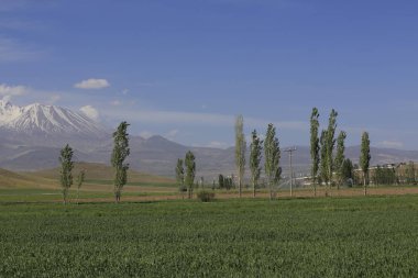 Volkanik dağ Erciyes ve Kayseri tarım arazileri panaromik - Kayseri Türkiye