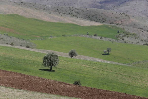 Vulkanischen Berg Erciyes Und Kayseri Ackerland Panaromic Kayseri Türkei — Stockfoto