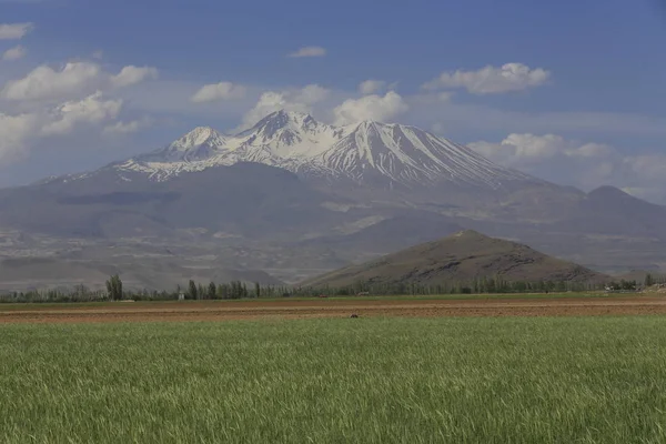 Sopečná Hora Erciyes Kayseri Zemědělská Půda Panaromic Kayseri Turecko — Stock fotografie