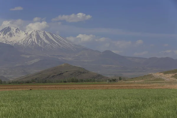 Wulkaniczna Góra Erciyes Kayseri Gruntów Rolnych Panaromic Kayseri Turcja — Zdjęcie stockowe