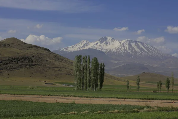 Vulkanische Berg Erciyes Kayseri Landbouwgrond Panaromic Kayseri Turkije — Stockfoto