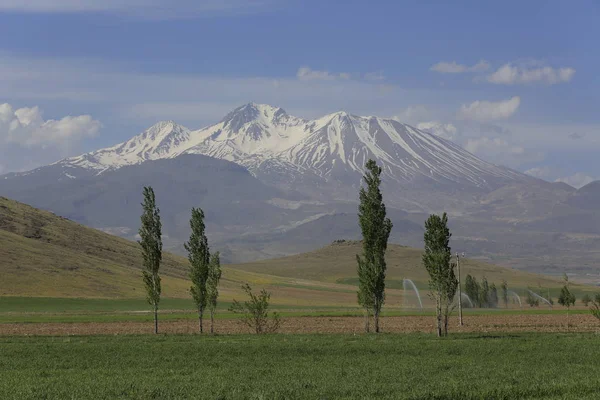 Vulkaniska Berg Erciyes Och Kayseri Jordbruksmark Panaromic Kayseri Turkiet — Stockfoto
