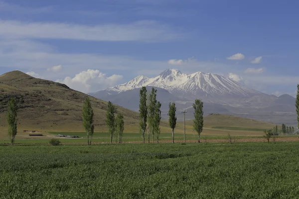 Volkanik dağ Erciyes ve Kayseri tarım arazileri panaromik - Kayseri Türkiye