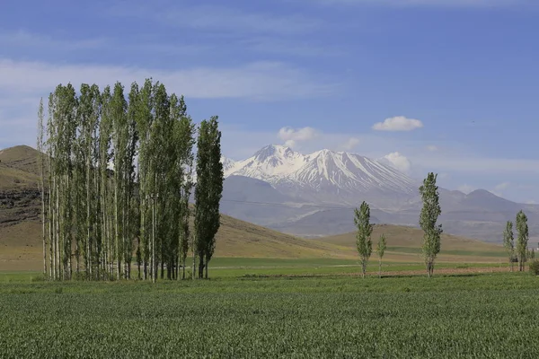 Volcanic Mountain Erciyes Kayseri Farmland Panaromic Kayseri Turkey — Stock Photo, Image