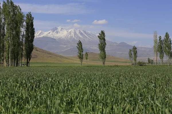 Montanha Vulcânica Erciyes Kayseri Terras Agrícolas Panaromic Kayseri Turquia — Fotografia de Stock