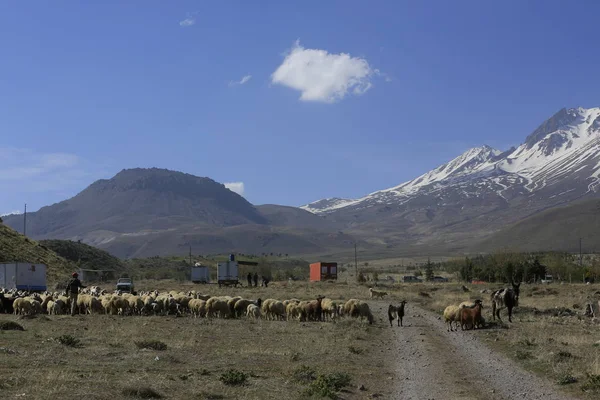 Montagne Volcanique Erciyes Kayseri Terres Agricoles Panaromique Kayseri Turquie — Photo