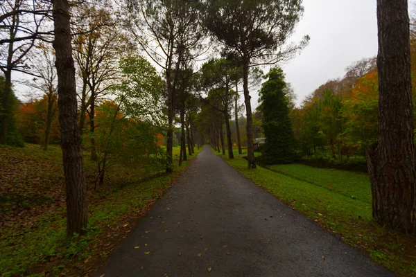 Atatürk Arborétum Botanikai Park Isztambulban — Stock Fotó