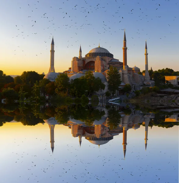 Hagia Sophia Cupole Minareti Nel Centro Storico Istanbul Turchia — Foto Stock
