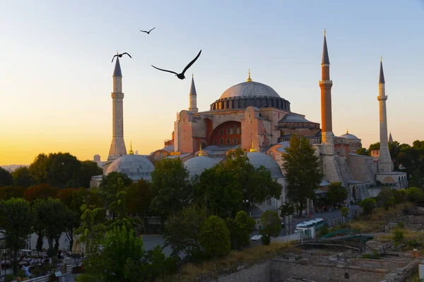 Kopuły Minarety Hagia Sophia Starym Mieście Stambuł Turcja — Zdjęcie stockowe