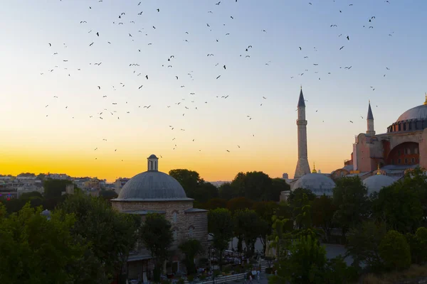 Hagia Sophia Dómy Minarety Starém Městě Istanbul Turecko — Stock fotografie