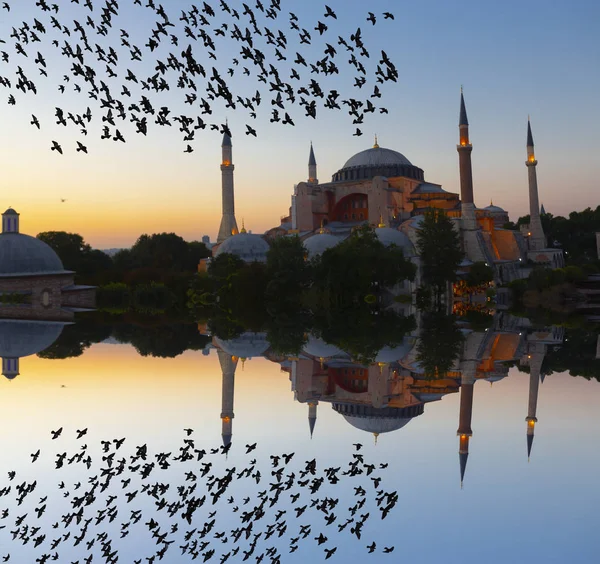土耳其伊斯坦布尔老城的Hagia Sophia穹顶和尖塔 — 图库照片