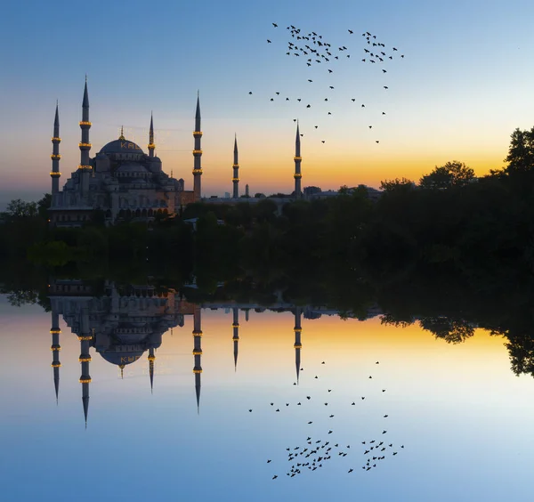 Hagia Sophia Kupolák Minaretek Isztambul Óvárosában Törökországban — Stock Fotó