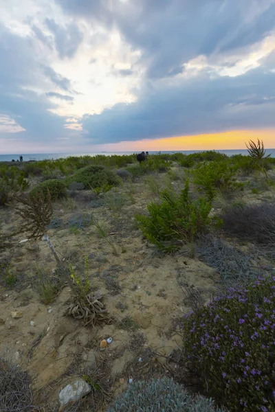 Den Polente Fyren Bozcaada Island — Stockfoto